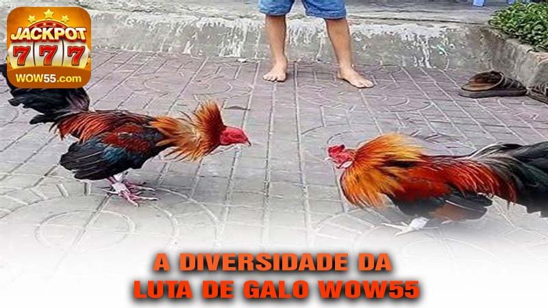 A Diversidade da LUTA DE GALO wow55