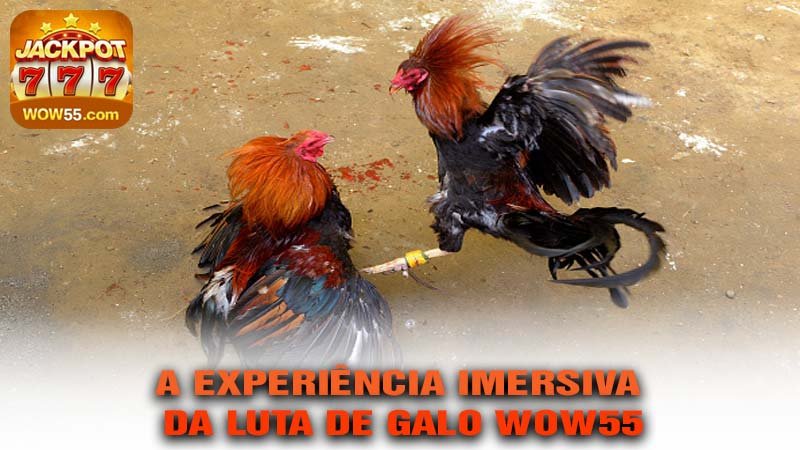 A Experiência Imersiva da LUTA DE GALO wow55